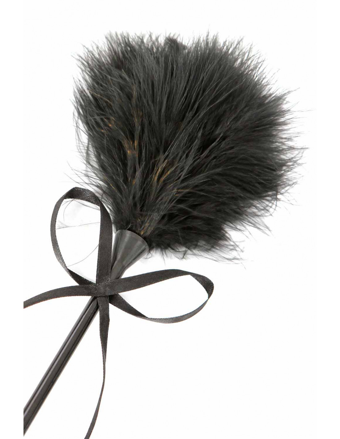 Cravache plume noire